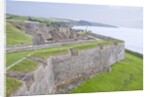 Charles Fort by Anonymous