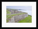 Charles Fort by Anonymous