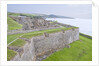 Charles Fort by Anonymous