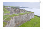 Charles Fort by Anonymous