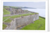 Charles Fort by Anonymous