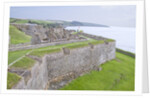 Charles Fort by Anonymous
