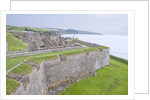 Charles Fort by Anonymous