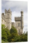 Lismore Castle by Anonymous