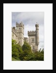 Lismore Castle by Anonymous