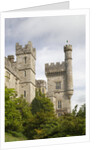 Lismore Castle by Anonymous