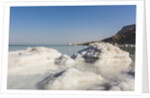 Dead Sea - Salt deposits by Anonymous