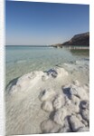 Dead Sea - Salt deposits by Anonymous