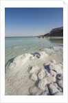 Dead Sea - Salt deposits by Anonymous