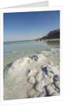 Dead Sea - Salt deposits by Anonymous