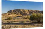 Negev Desert, landscape by Anonymous