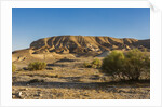 Negev Desert, landscape by Anonymous
