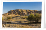 Negev Desert, landscape by Anonymous