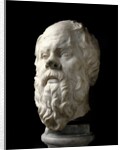 Portrait of Socrates by Anonymous