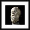 Portrait of Socrates by Anonymous