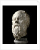 Portrait of Socrates by Anonymous