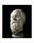 Portrait of Socrates by Anonymous