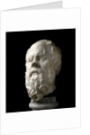Portrait of Socrates by Anonymous