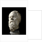 Portrait of Socrates by Anonymous