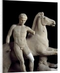 Detail of sculpture group of the Dioscuro by Anonymous