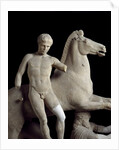 Detail of sculpture group of the Dioscuro by Anonymous