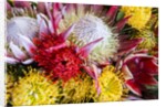 Wild Flowers of Hawaii by Anonymous