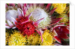 Wild Flowers of Hawaii by Anonymous