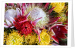 Wild Flowers of Hawaii by Anonymous