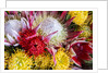 Wild Flowers of Hawaii by Anonymous