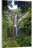 Waterfall along the Hana Highway by Anonymous