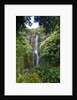 Waterfall along the Hana Highway by Anonymous