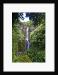 Waterfall along the Hana Highway by Anonymous