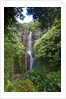Waterfall along the Hana Highway by Anonymous