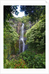 Waterfall along the Hana Highway by Anonymous