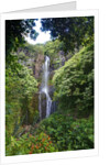 Waterfall along the Hana Highway by Anonymous