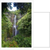 Waterfall along the Hana Highway by Anonymous