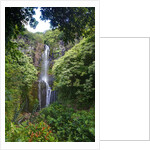 Waterfall along the Hana Highway by Anonymous