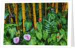 Garden on the Island of Maui with Pink Anthurium, Yellow Bamboo, and Philodendron Plants by Anonymous