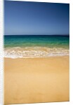 Surf and Sea along Big Beach on Southern Maui by Anonymous