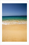 Surf and Sea along Big Beach on Southern Maui by Anonymous