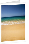 Surf and Sea along Big Beach on Southern Maui by Anonymous