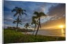 Sunset on Southern Maui Beach with Palm Trees by Anonymous