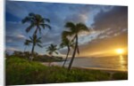 Sunset on Southern Maui Beach with Palm Trees by Anonymous