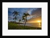 Sunset on Southern Maui Beach with Palm Trees by Anonymous