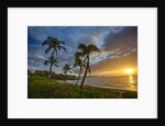Sunset on Southern Maui Beach with Palm Trees by Anonymous