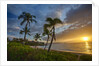 Sunset on Southern Maui Beach with Palm Trees by Anonymous