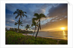 Sunset on Southern Maui Beach with Palm Trees by Anonymous