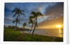 Sunset on Southern Maui Beach with Palm Trees by Anonymous