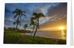 Sunset on Southern Maui Beach with Palm Trees by Anonymous
