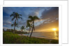Sunset on Southern Maui Beach with Palm Trees by Anonymous